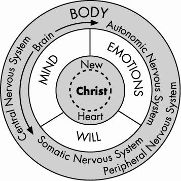 Body, Soul, and Spirit  Freedom in Christ Ministries